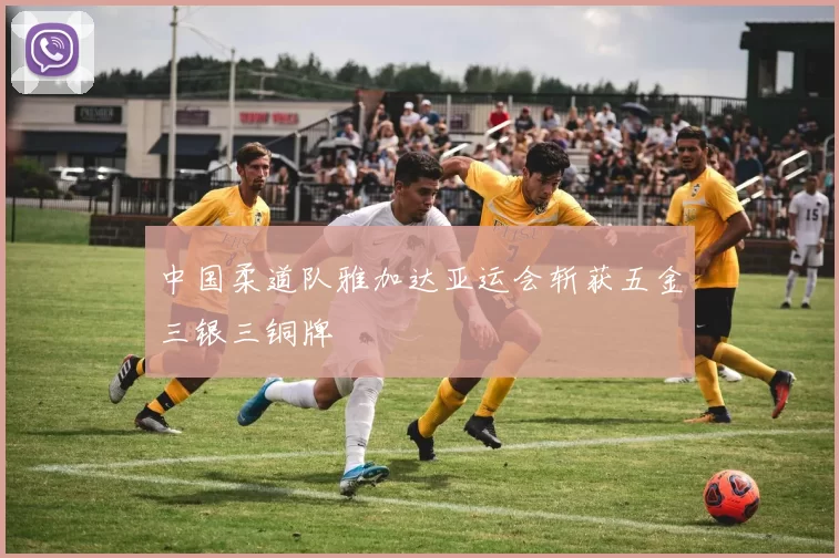 中国柔道队雅加达亚运会斩获五金三银三铜牌