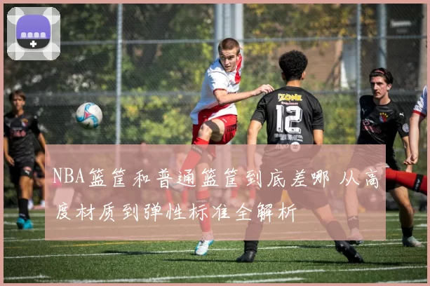 NBA篮筐和普通篮筐到底差哪 从高度材质到弹性标准全解析