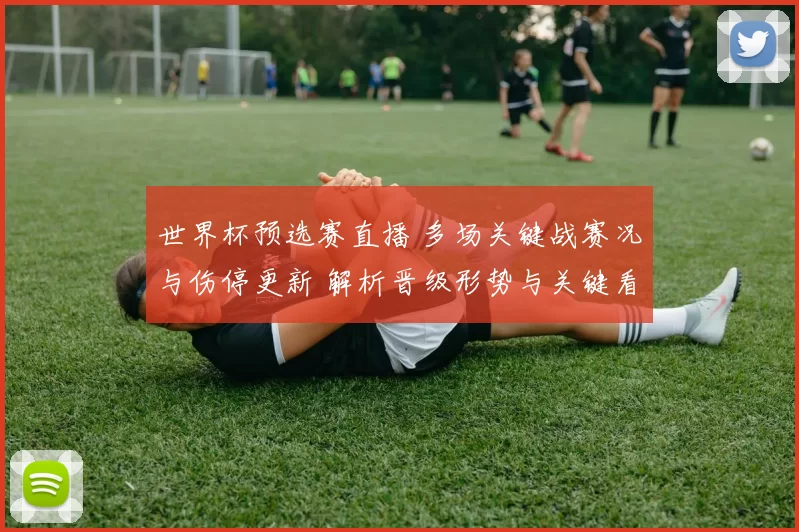 世界杯预选赛直播 多场关键战赛况与伤停更新 解析晋级形势与关键看点