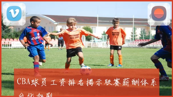 CBA球员工资排名揭示联赛薪酬体系分化加剧