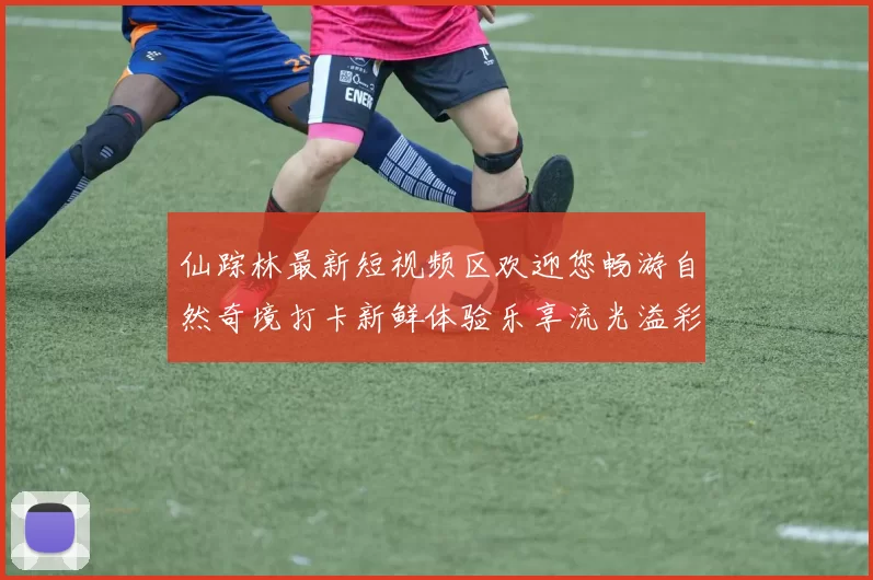 仙踪林最新短视频区欢迎您畅游自然奇境打卡新鲜体验乐享流光溢彩