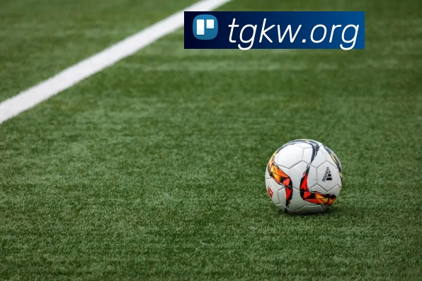 九游官方网页版 - 九游(中国)发展历程